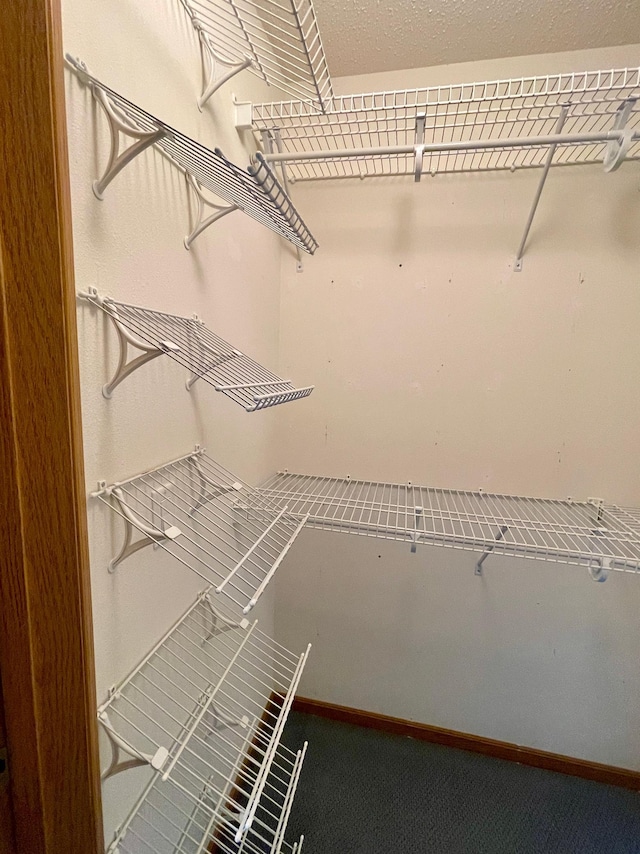 416 Rako St SW, Bemidji, MN 56601 - view of spacious closet