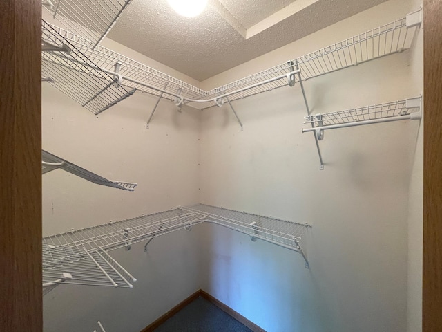 416 Rako St SW, Bemidji, MN 56601 - view of spacious closet