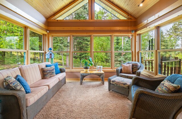 26110 Elk Haven Dr, Nevis, MN 56467 - photo 32