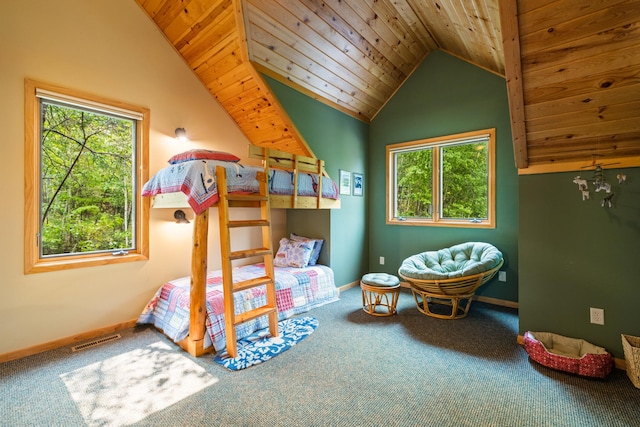 26110 Elk Haven Dr, Nevis, MN 56467 - photo 66