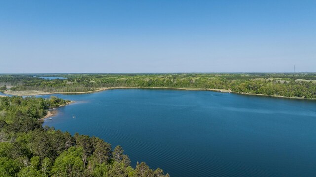 26110 Elk Haven Dr, Nevis, MN 56467 - photo 71