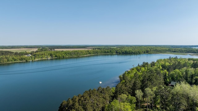 26110 Elk Haven Dr, Nevis, MN 56467 - photo 72
