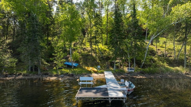 26110 Elk Haven Dr, Nevis, MN 56467 - photo 74