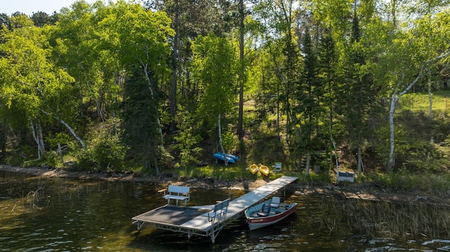 26110 Elk Haven Dr, Nevis, MN 56467 - photo 75