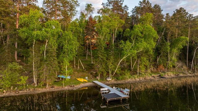 26110 Elk Haven Dr, Nevis, MN 56467 - photo 84