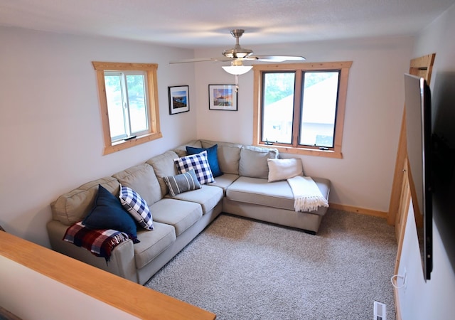 1874 Hidden Valley Ln NW, Leaf Valley Twp, MN 56354 - living room featuring a ceiling fan and carpet floors