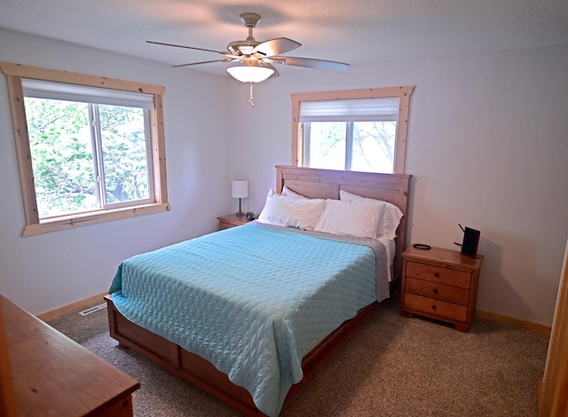 1874 Hidden Valley Ln NW, Leaf Valley Twp, MN 56354 - bedroom with multiple windows, carpet flooring, and ceiling fan