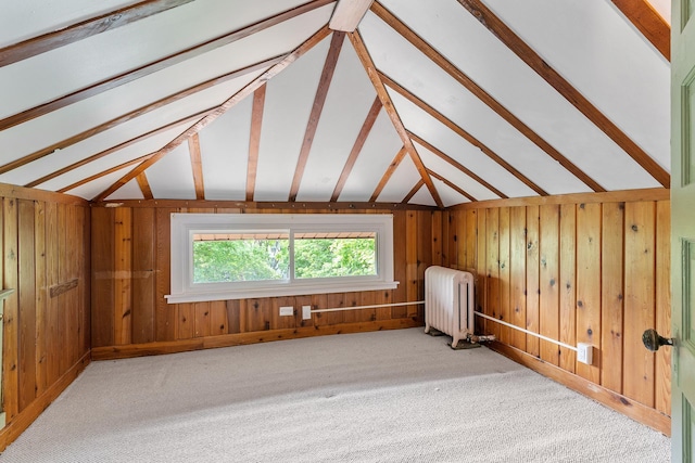 2505 Pleasant Ave, Minneapolis, MN 55404 - additional living space featuring radiator, vaulted ceiling, carpet flooring, and wooden walls
