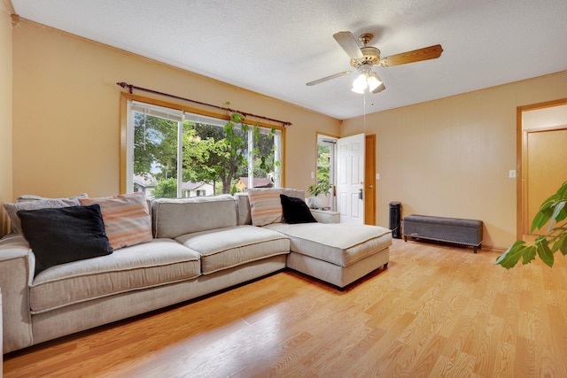 3626 Washburn Ave N, Minneapolis, MN 55412 - photo 5