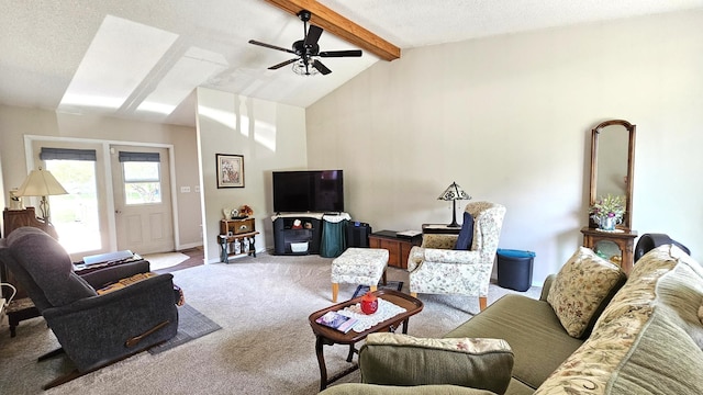 111 10th Ave SE, Elbow Lake, MN 56531 - living area with carpet floors and ceiling fan