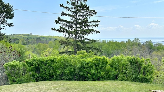 2212 Springvale Ct, Duluth, MN 55811 - view of grassy yard with a view of trees