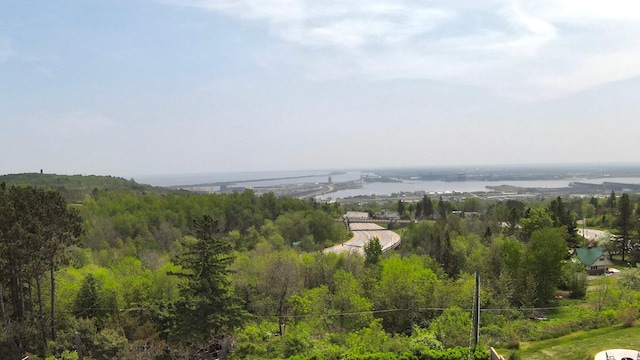 2212 Springvale Ct, Duluth, MN 55811 - aerial view