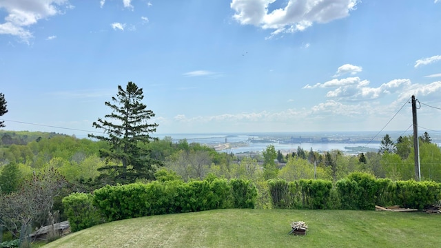 2212 Springvale Ct, Duluth, MN 55811 - view of grassy yard featuring a water view
