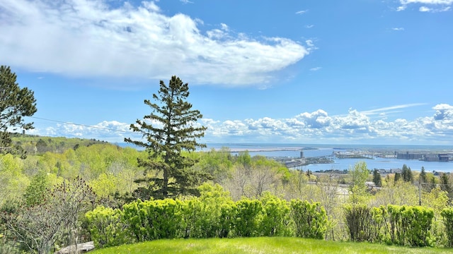 2212 Springvale Ct, Duluth, MN 55811 - water view