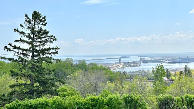2212 Springvale Ct, Duluth, MN 55811 - water view featuring a notable bridge