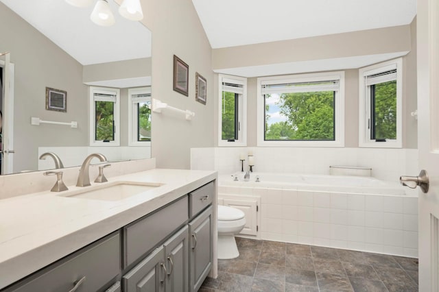 1366 140th Ln NW, Andover, MN 55304 - full bathroom with toilet, a garden tub, vanity, and stone finish flooring