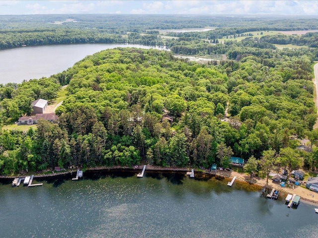 1474 Shamineau Dr, Motley, MN 56466 - drone / aerial view of a heavily wooded area and a large body of water