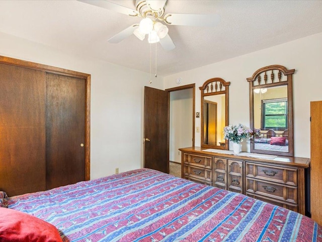 1474 Shamineau Dr, Motley, MN 56466 - bedroom with a closet and a ceiling fan