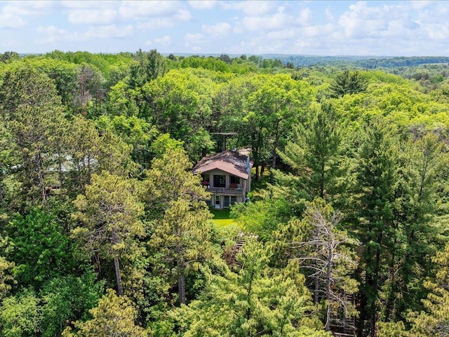 1474 Shamineau Dr, Motley, MN 56466 - view from above of property with a heavily wooded area
