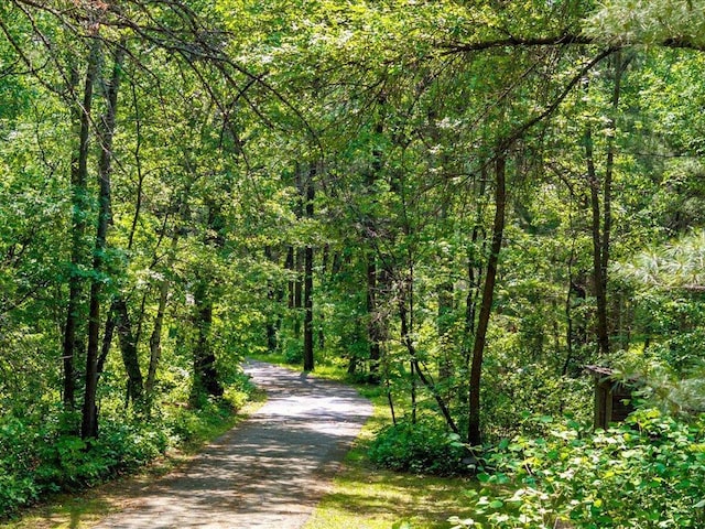 1474 Shamineau Dr, Motley, MN 56466 - view of street with a wooded view