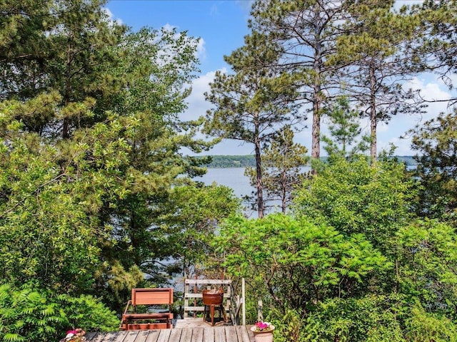 1474 Shamineau Dr, Motley, MN 56466 - water view