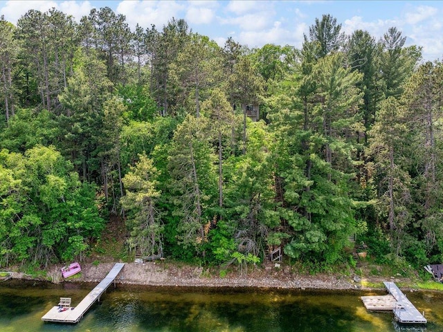 1474 Shamineau Dr, Motley, MN 56466 - dock area featuring a water view and a view of trees