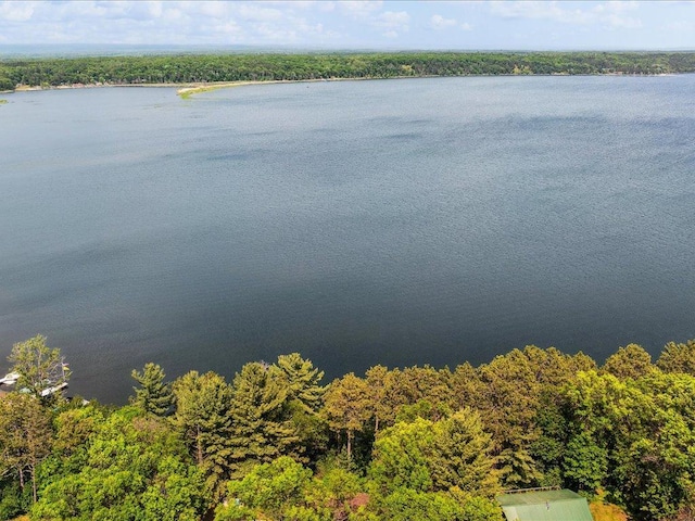 1474 Shamineau Dr, Motley, MN 56466 - water view with a forest