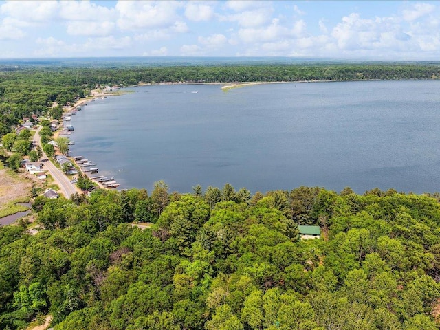 1474 Shamineau Dr, Motley, MN 56466 - aerial view of a forest and a large body of water