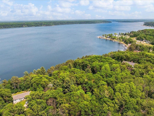 1474 Shamineau Dr, Motley, MN 56466 - drone / aerial view of a large body of water and a forest