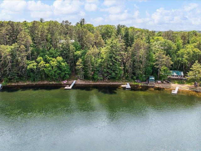 1474 Shamineau Dr, Motley, MN 56466 - water view featuring a heavily wooded area