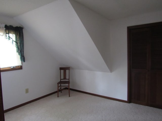 457 Rohrer St, Round Lake, MN 56167 - additional living space with vaulted ceiling, light colored carpet, and baseboards