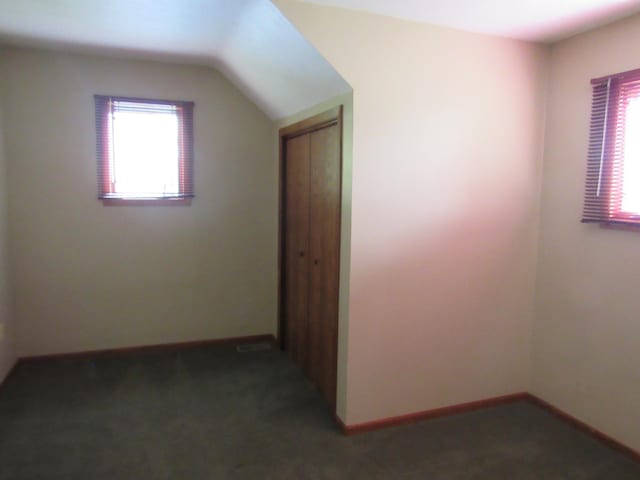 457 Rohrer St, Round Lake, MN 56167 - additional living space with carpet flooring, vaulted ceiling, and baseboards