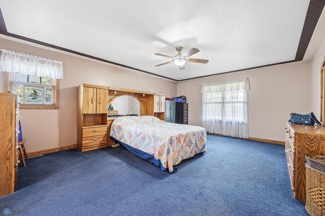 18000 10th St SW, Hawley, MN 56549 - bedroom with multiple windows, a textured ceiling, dark carpet, baseboards, and crown molding