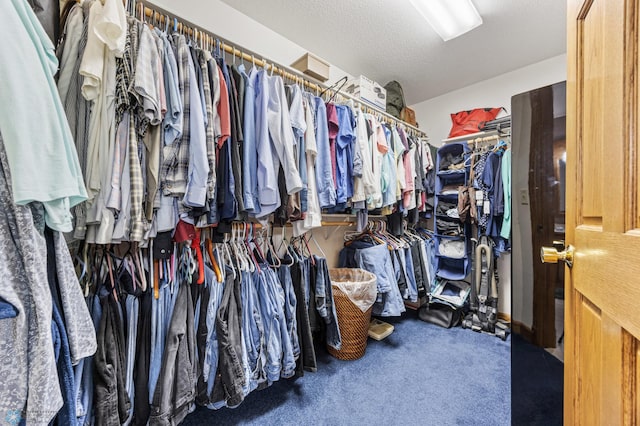 18000 10th St SW, Hawley, MN 56549 - walk in closet with carpet floors