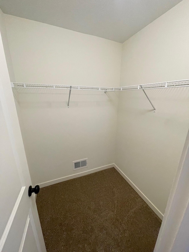 32755 Naples St NE, Cambridge, MN 55008 - walk in closet with dark colored carpet