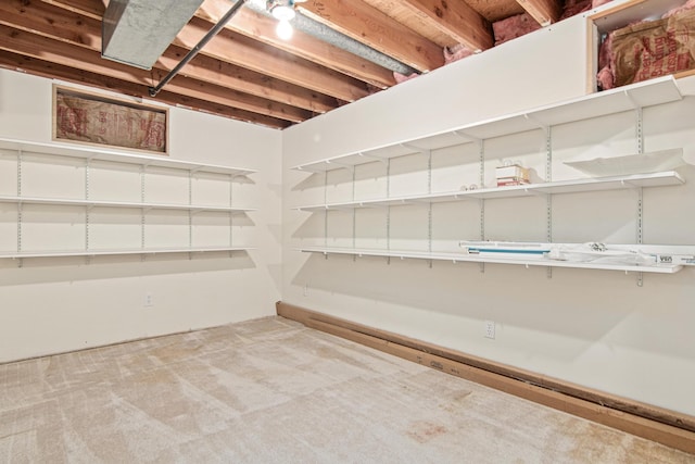 8200 77th St S, Cottage Grove, MN 55016 - view of storage area