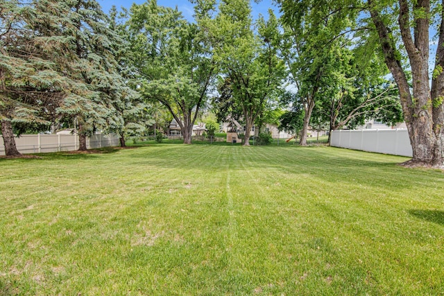 8200 77th St S, Cottage Grove, MN 55016 - view of yard