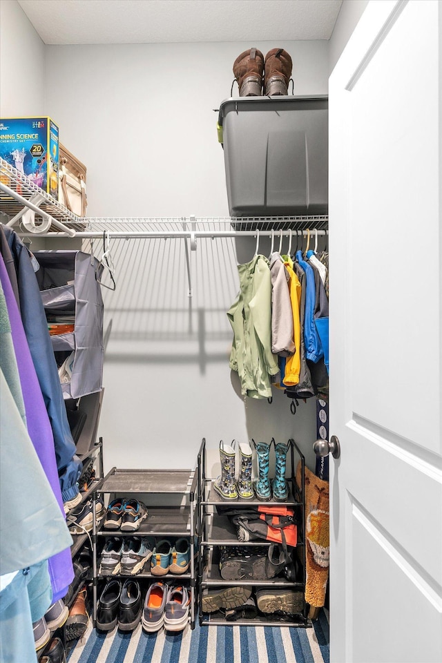 11444 Creekside Ct, Rogers, MN 55311 - view of spacious closet
