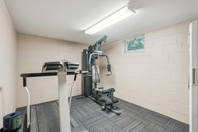 5705 36th Ave S, Minneapolis, MN 55417 - exercise room with concrete block wall and carpet