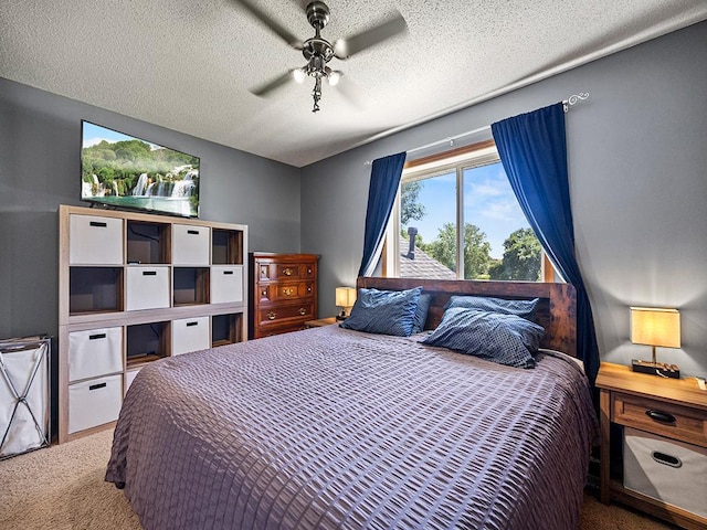 201 3rd St NW, Saint Michael, MN 55376 - carpeted bedroom with a textured ceiling and ceiling fan