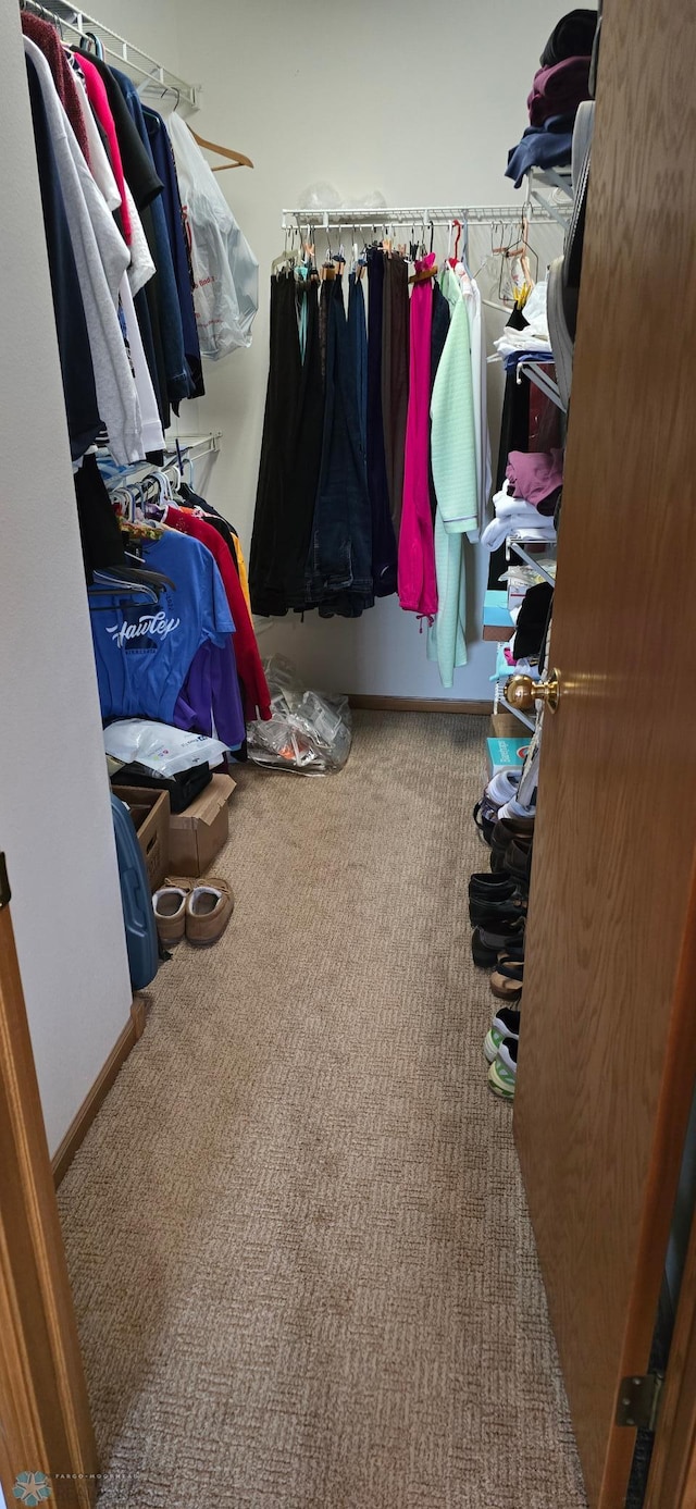 4708 21st St N, Moorhead, MN 56560 - spacious closet featuring carpet