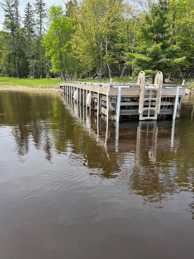1760 Grindstone Is, International Falls, MN 56649 - dock area with a water view