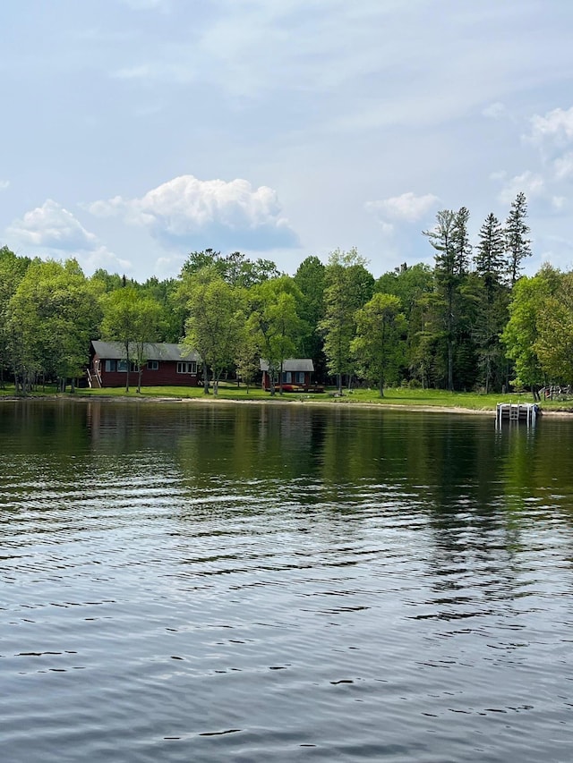 1760 Grindstone Is, International Falls, MN 56649 - water view featuring a forest