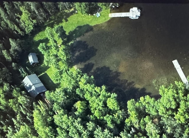 1760 Grindstone Is, International Falls, MN 56649 - view of property location