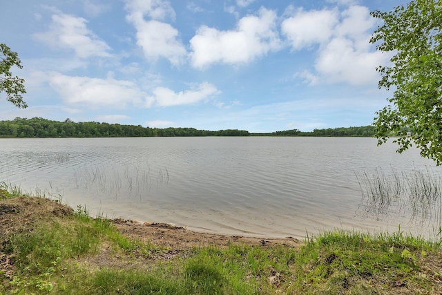 3566 State Highway 210, Baxter, MN 56425 - water view