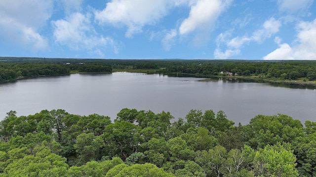 3566 State Highway 210, Baxter, MN 56425 - water view featuring a heavily wooded area