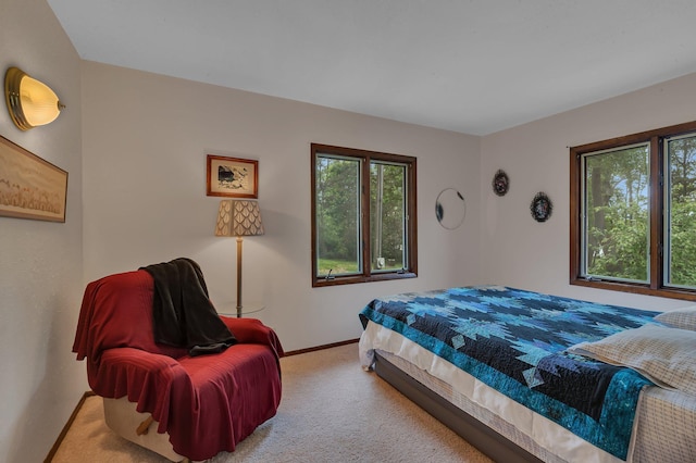 3566 State Highway 210, Baxter, MN 56425 - carpeted bedroom featuring multiple windows and baseboards