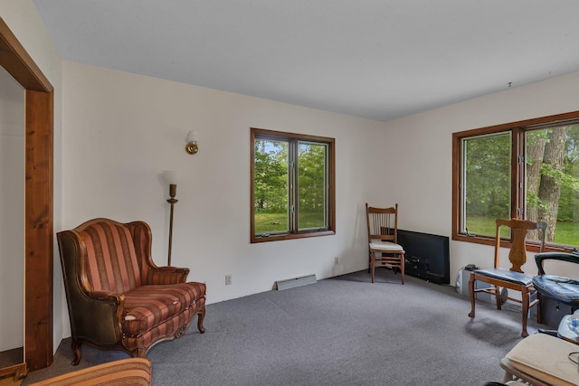 3566 State Highway 210, Baxter, MN 56425 - sitting room featuring carpet and baseboard heating