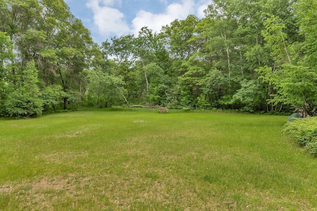 3566 State Highway 210, Baxter, MN 56425 - view of yard