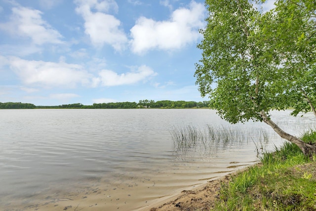3566 State Highway 210, Baxter, MN 56425 - water view